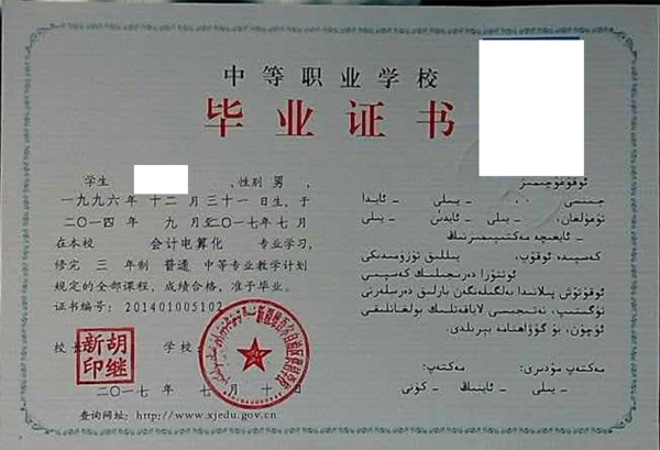 新疆2017年中專畢業證樣本